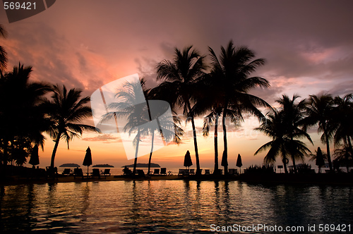 Image of Evening in tropical hotel