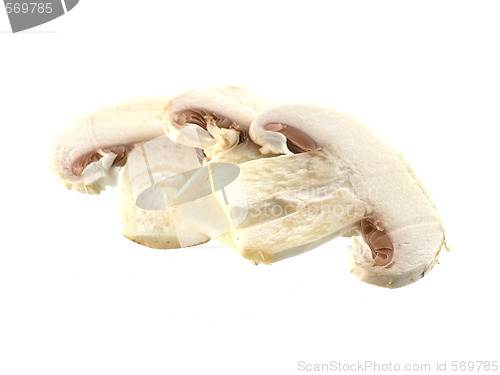 Image of fresh champignon 