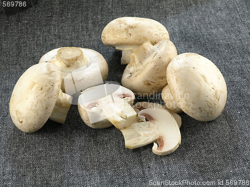 Image of fresh champignon 