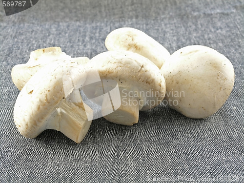 Image of fresh champignon 