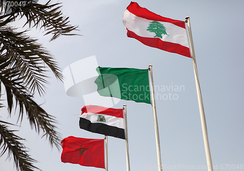 Image of Arab league flags