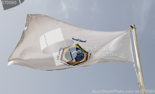 Image of Flag of the GCC