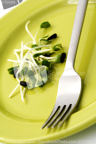 Image of germ buds