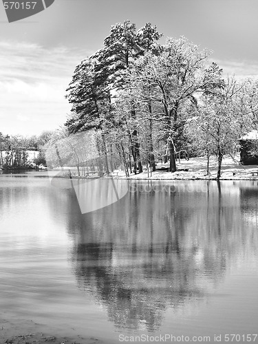 Image of Reflections of winter