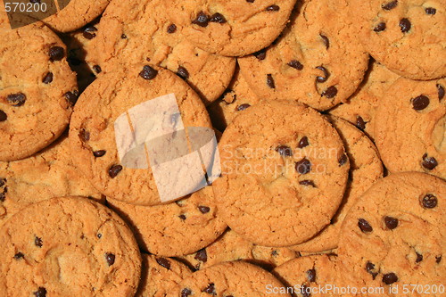 Image of Close up of chocolate chip cookies.