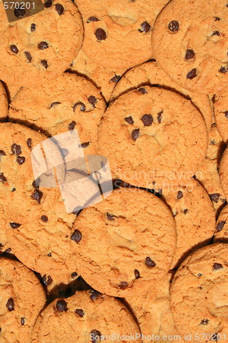 Image of Close up of chocolate chip cookies.