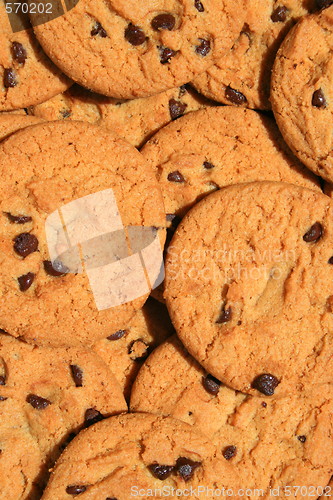 Image of Close up of chocolate chip cookies.