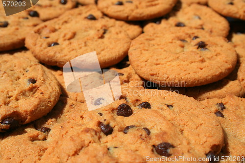 Image of Chocolate Chip Cookies