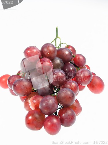 Image of Grape