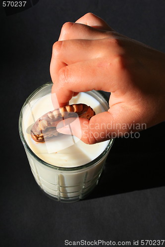 Image of Cookie and a Glass of Milk