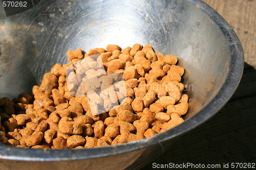 Image of Dog Food