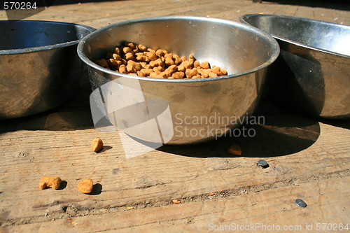 Image of Dog Food