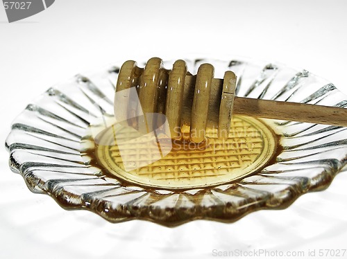 Image of Honey