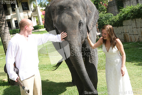 Image of Just married couple