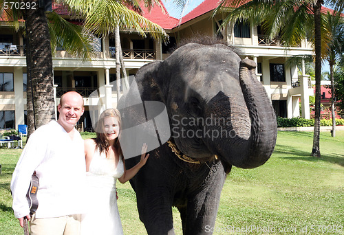 Image of Just married couple