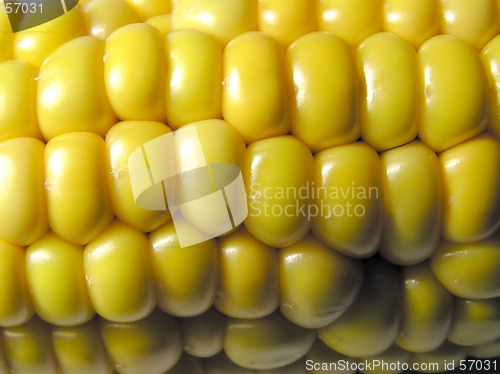 Image of Corn