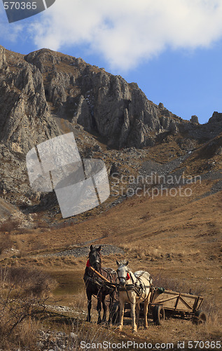 Image of Trascau mountains