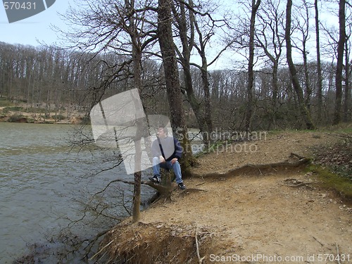 Image of sitting on dead roots
