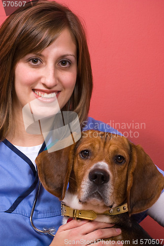 Image of Veterinarian With a Beagle