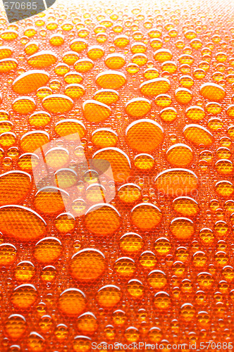 Image of Water drops