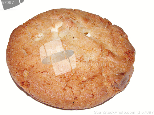 Image of Biscuit