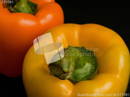 Image of bulgarian pepper 2