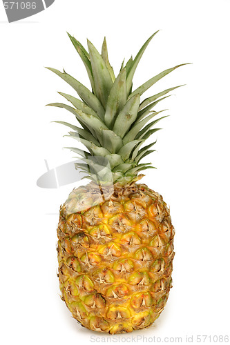 Image of Pineapple