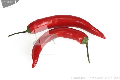 Image of Red chili pepper