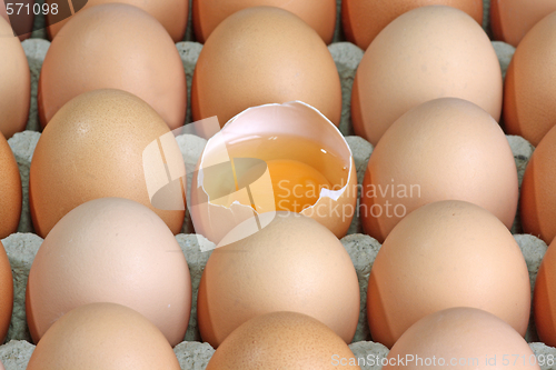 Image of Fresh eggs