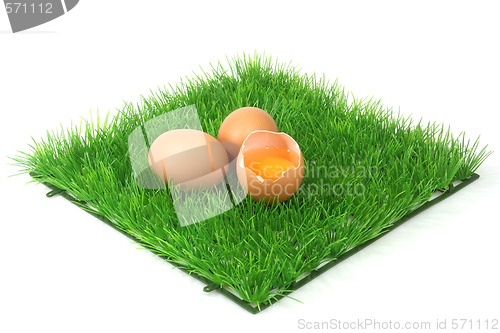 Image of Decorative brown eggs