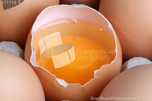 Image of Fresh eggs