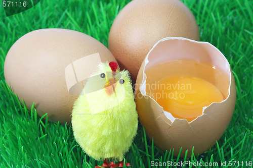 Image of Decorative brown eggs