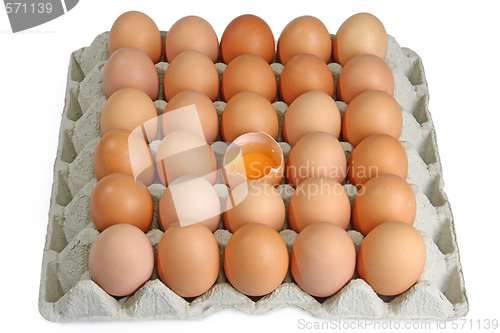 Image of Fresh eggs