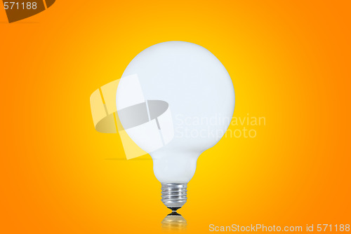 Image of White bulb