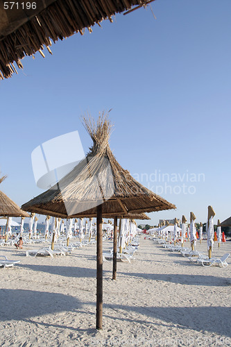 Image of summer