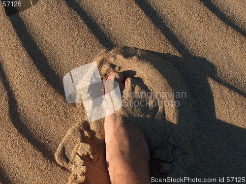 Image of Step Into It