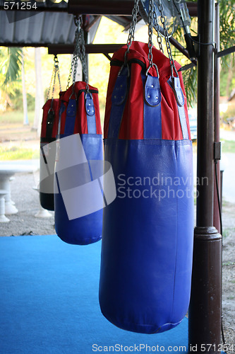 Image of Boxing bags