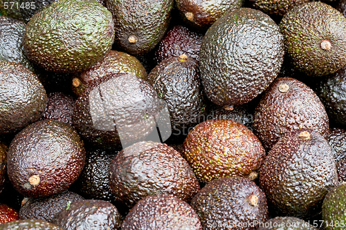 Image of Avocado brown