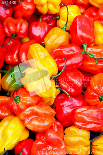 Image of Chilli paprika