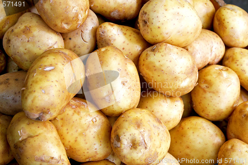 Image of Potato horizontal