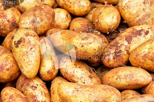 Image of Potatoes with dirt