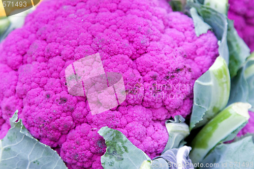 Image of Purple cauliflowers
