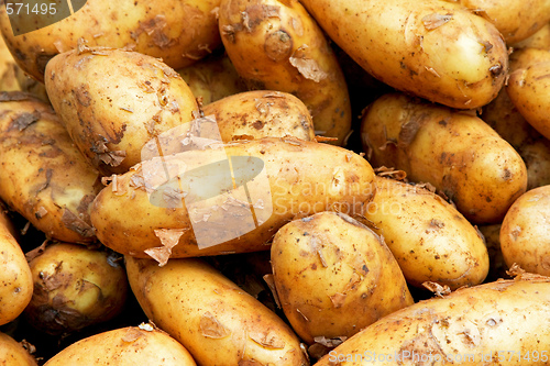 Image of Sweet potato