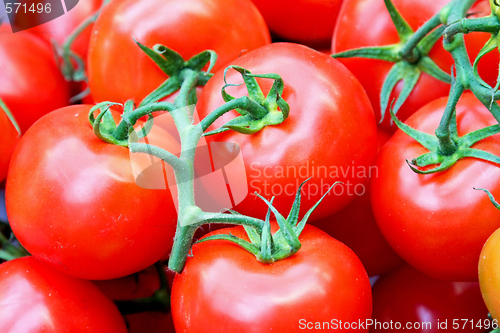 Image of Tomato on vine