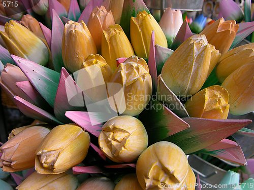 Image of Wooden tulips