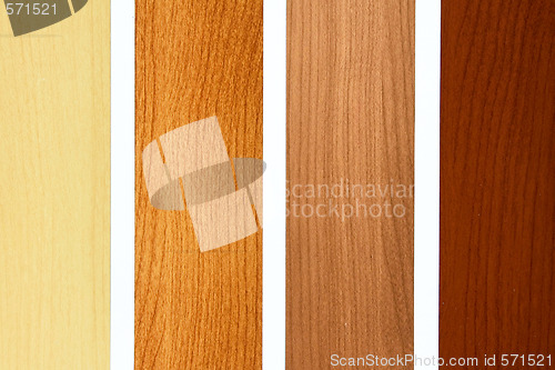 Image of Maple color