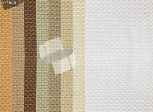 Image of Tan colors