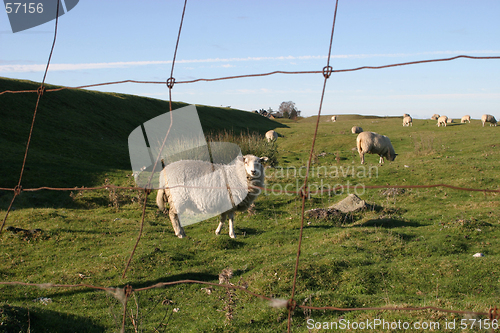 Image of Farm