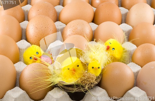 Image of Easter Chickens