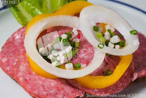 Image of Salami sandwich